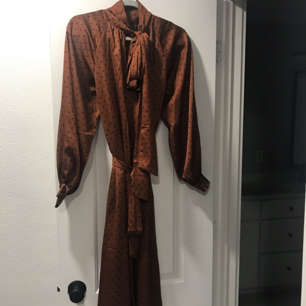 Brown wirh black polka dots dress